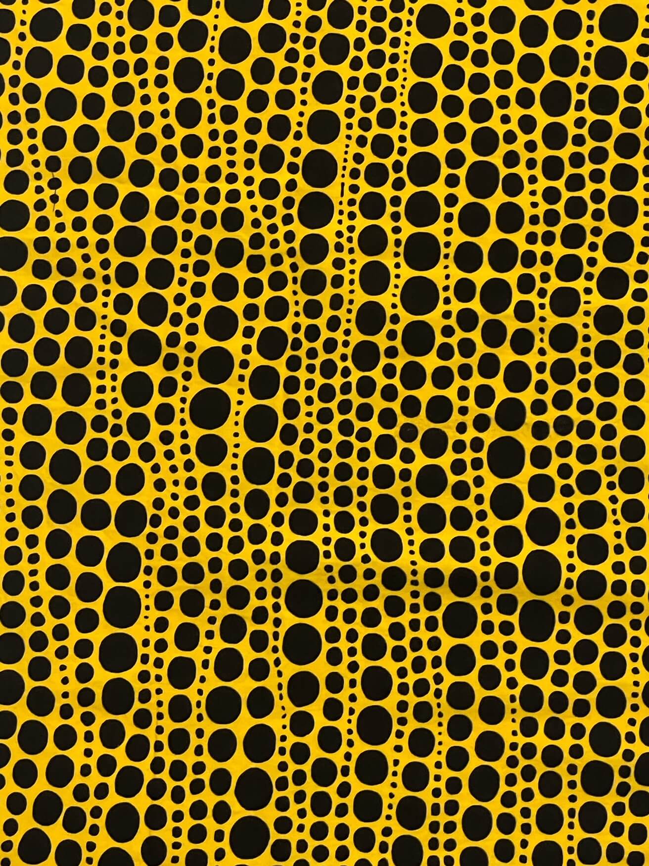 Reversible Blouson Jacket #752/753 <S>